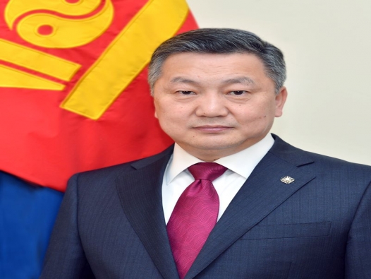 Парламентын ордон барих мөнгийг эрүүл мэндийн салбарт зарцуулах н...